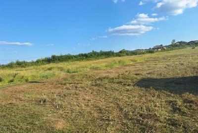 Teren Construcții intravilan de 700 mp, în Paleu