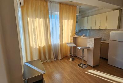 400euro, 2 camere open space, Zona Palas langa Lazar Residence - 10
