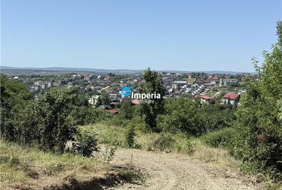 Teren de vanzare Copou - Viticultori - 5