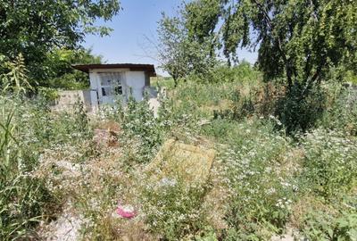 Casa 4 camere Darasti Ilfov - 5