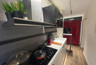 Victoriei, Veronica Micle - apartament 2 camere renovat de inchiriat. - 21