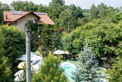 Vanzare vila-pensiune D+P+M 10 camere de vânzare, Daesti jud. Valcea - 57