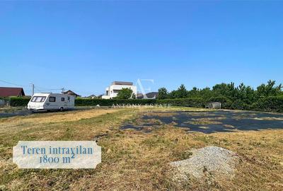 Antony Estate | Teren Intravilan de inchiriat - Grigorescu, Oradea - 2