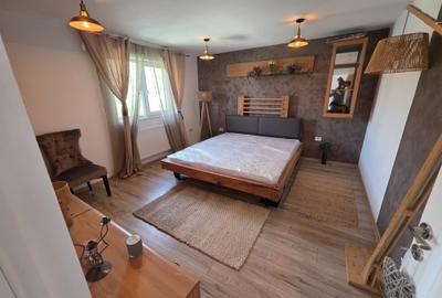 Vila Valea Lupului cod 163438 tel 0731226666 - 18