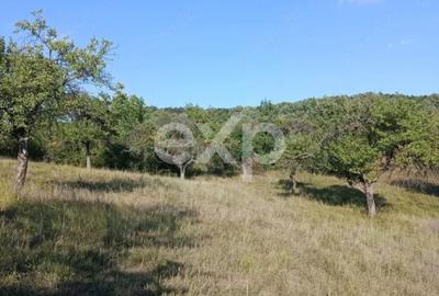 Teren extravilan de vânzare Tigveni | 4.944 mp | Panoramă superbă - 4