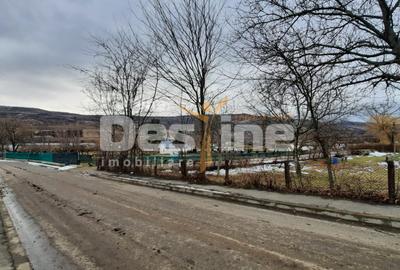 Oportunitate de investitie, teren intravilan Husi, 10435 mp - 8