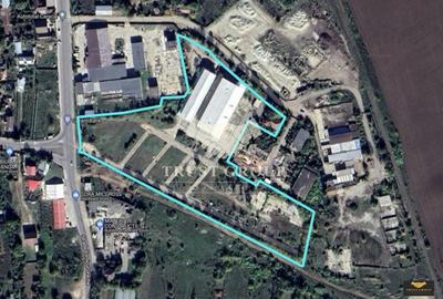 Teren 28.788m + Hale industriale + Sediu Firma - 40