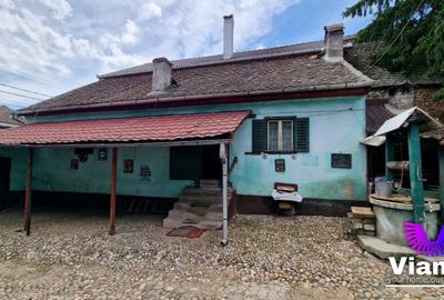 Casa Individuala 4 Camere cu Teren 2984 mp Sat Nou-Rosia - 11