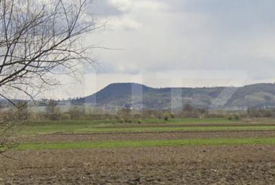 Teren agricol extravilan de 17400 mp, în Rupea