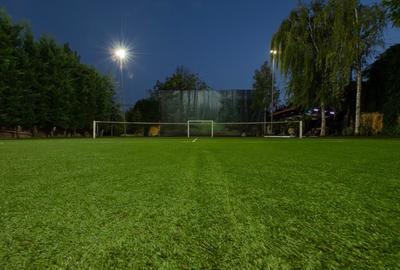 Vila grandioasa, Gradina Japoneza, SPA, Crama, Teren Tenis, Foisor, Iaz Pesti - 5