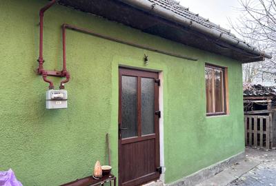 Casă individuală cu 2 camere în Cristești