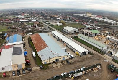 Hală industrială cu poziționare strategică în Giarmata - 6