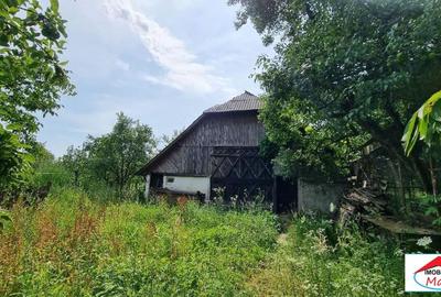 Casa in Viile Satu Mare cu teren mare 55000 Euro - 5