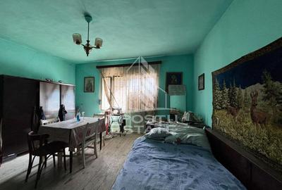 Casa cu 5 camere, 777 mp teren la MOLDOVA VECHE, ideal casa de vacanta - 11