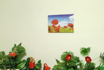 Garsonieră semidecomandată în Sălăjan