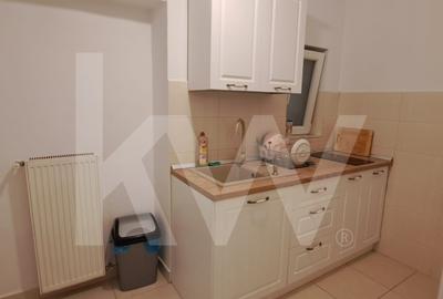 Apartament pentru inchiriere , ultracentral-centrul istoric ,mobilat si utilat - 8