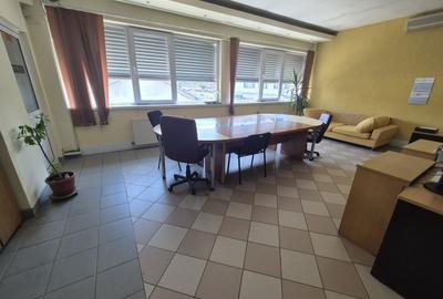Hală 1.320 mp + birouri de vânzare, Splaiul Unirii, Sector 3 - 16
