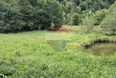 Teren de vis de 2.800 mp pe Valea Tărcăului – Cu lac natural și pădure - 1
