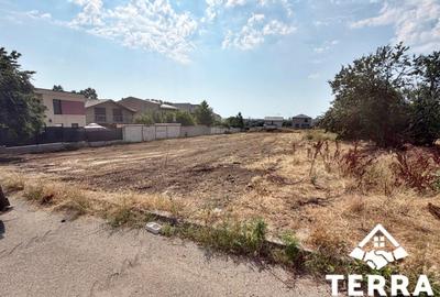 Teren la intrarea in Ovidiu - pozitie ideala - 3