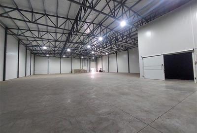 Platforma industriala cu 2 hale, aproape de centura - 4