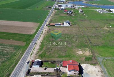 Teren Construcții intravilan de 2010 mp, în Frumușani