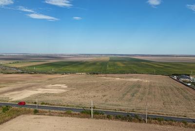 Teren agricol extravilan de 82300 mp, în Tulucești