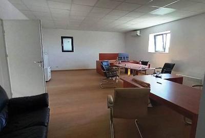 Magurele,hala 1000 mp,constructie noua ,ideal depozitare,productie - 8