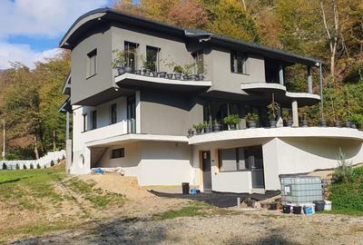 Casă individuală cu 7 camere în Valea Roșie