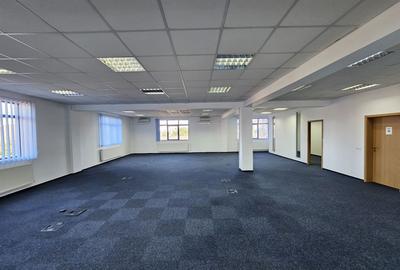 Spatiu comercial Calea Dumbravii - 2