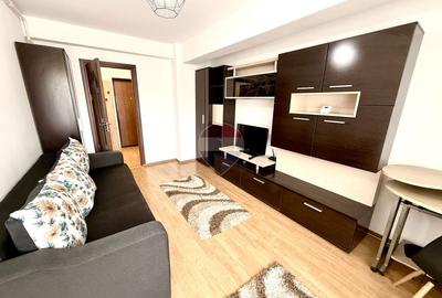 Apartament cu o cameră de închiriat pe Strada Plopilor.  Pet Friendly - 4