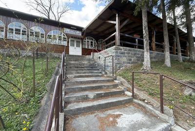 Oportunitate rara de investitie – teren in Sovata, str. Trandafirilor - 4