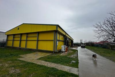 Fabrica de procesare peste si crustacee - Proprietatea Imobiliară Industrială - 7