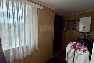 Casă cu teren si demisol In Tifesti - 16