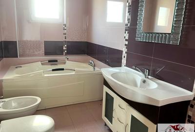 Apartament trei camere de vanzare Sebes-Petresti - 5