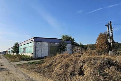 Hala industriala (1000 mp) si teren (4000 mp), Scornicesti, Trafo - 8