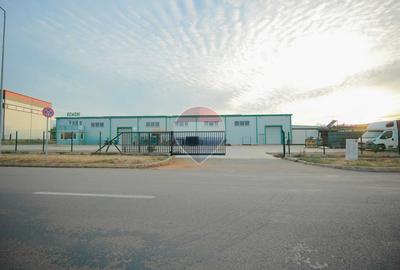 Hală în parc industrial Borș 1, teren 2.903 mp, de vânzare - 9