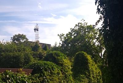 Apartament Interbelic cu Mansarda - Armeneasca - Gradina Icoanei - Universitate - 7