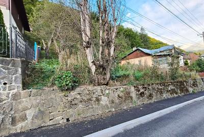 Teren intravilan de vanzare in Sinaia, str Muncii - 2