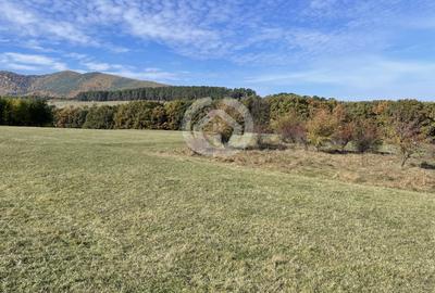 Teren Extravilan | Rășinari – Poplaca | Cadru Natural Unic - 1