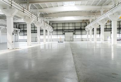 Spatiu Industrial - 1300 mp - Productie - Depozitare - Distributie - 2