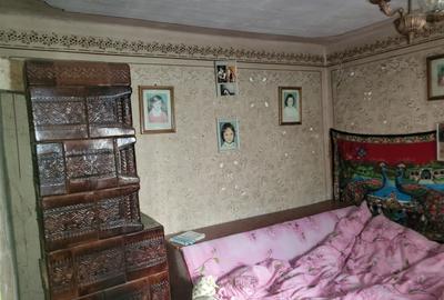 Casa de vânzare  Comuna Salcia Sat Tudor Vladimirescu  jud Teleorman - 8