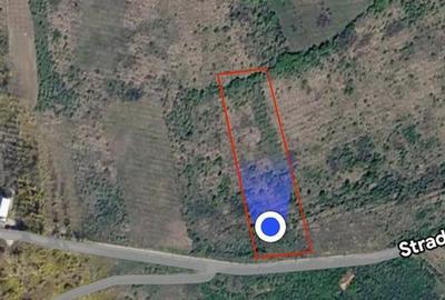 TEREN INTRAVILAN  |  1.824 MP  |  DEALURI  |  ORADEA - 4