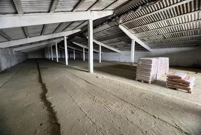 Hale de inchiriat localitatea M. Kogalniceanu Tulcea - 4