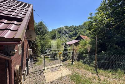 Casa din lemn, zona muntoasa, cu rau, la cheie, Ribita, Hunedoara - 42