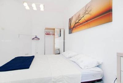 Apartament 2 camere Cismigiu, terasa spre parc | Intrarea Rigas - 3
