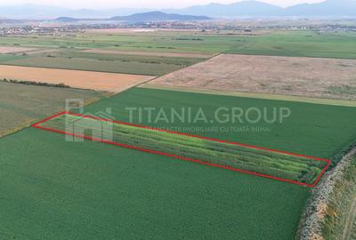 Teren agricol extravilan de 8700 mp, în Bod