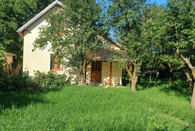Casă individuală cu 3 camere în Vechea
