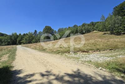 Teren agricol extravilan de 36200 mp, în Poiana Mărului