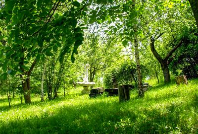 Domeniu exclusivist cu izvor propriu – Cheile Turzii / Munții Apuseni - 10