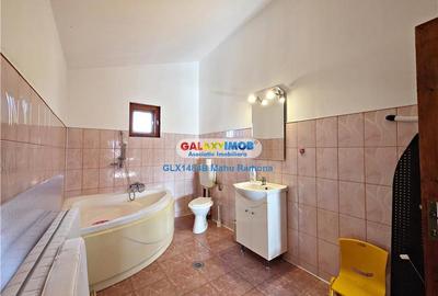 Casa individuala (P+1+M), Balotesti, Martha Bibescu - 25